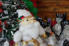 47684393_278857526000669_3143371909790433280_n